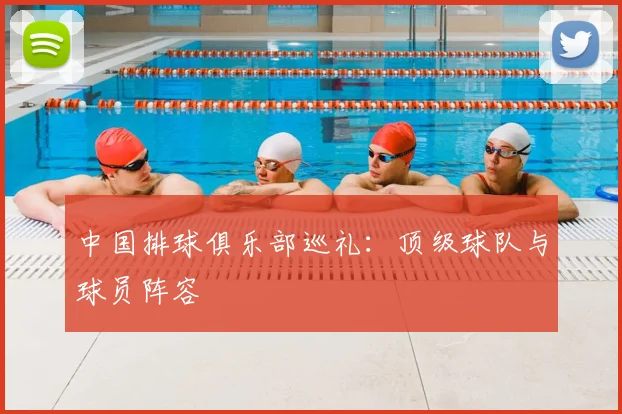 中国排球俱乐部巡礼:顶级球队与球员阵容